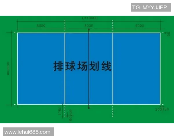 深度对话：周强如何在排球场上书写自己的传奇人生